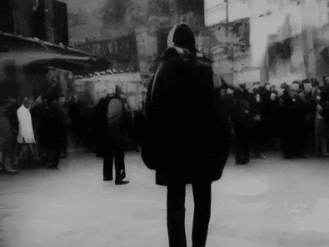 Crowd Studies